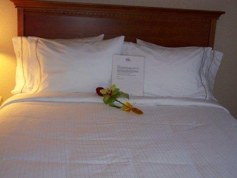 Hotel Express And By Ihg Valparaiso